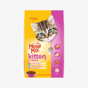 Mix Kitten